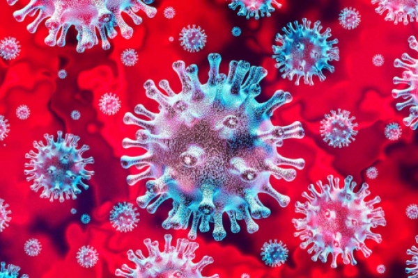 En plena tempestad del coronavirus