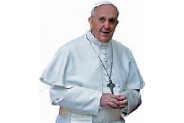 El Papa Francisco. Las familias, un laboratorio de humanización