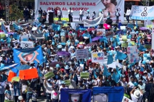Medio millón de mexicanos salieron a defender la vida y la familia. México provida. No al aborto