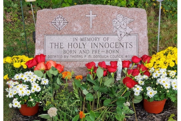 Celebran en todo Estados Unidos el Día Nacional en memoria de los niños abortados Celebran en todo Estados Unidos el Día Nacional en memoria de los niños abortados. Provida