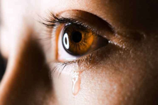 Con jornada de rezo del Rosario comenzará campaña internacional contra el abuso sexual