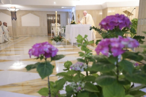 El Papa reza por las enfermeras, ejemplo de heroísmo