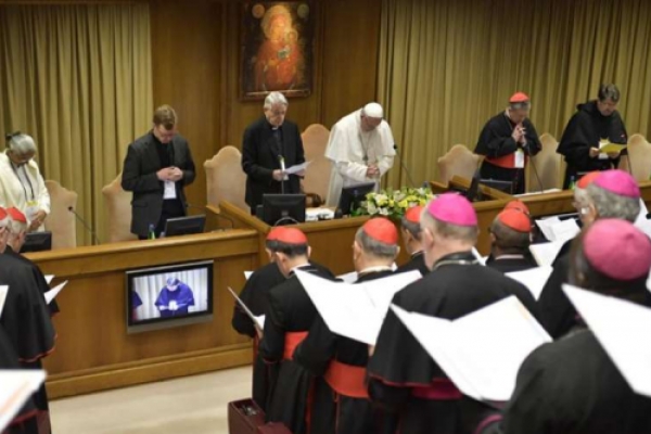 El Papa Francisco pide curar las graves heridas causadas por el escándalo de la pedofilia El Papa Francisco pide curar las graves heridas causadas por el escándalo de la pedofilia