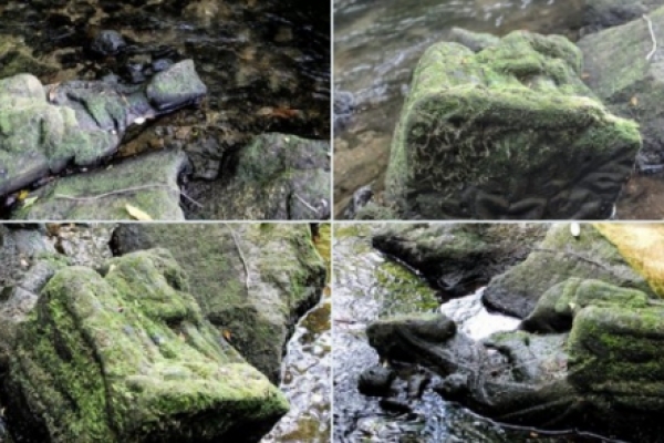 Pescador encuentra imagen medieval de la Santísima Virgen en un río