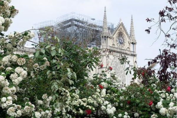 Reapertura de la Catedral de París se celebrará el 16 de abril 2024 Reapertura de la Catedral de París se celebrará el 16 de abril 2024
