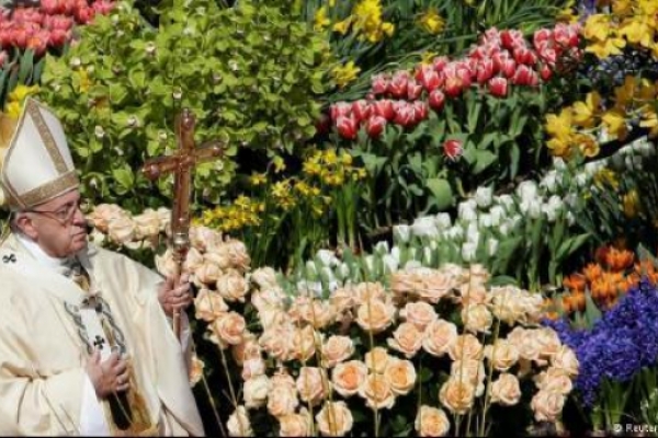Las 50 mil flores de la Plaza de San Pedro enviadas desde Holanda