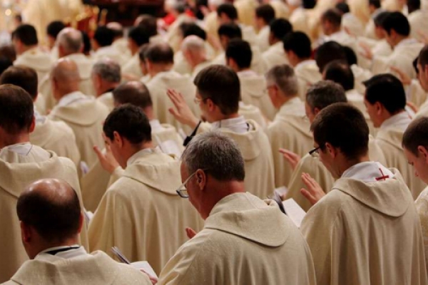 Más de 500 sacerdotes participaron en curso de actualización teológica online