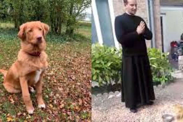 El perro que espera a que el sacerdote termine la oración antes de comer