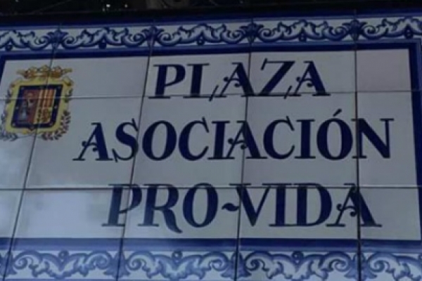 plaza_pro-vida.jpg