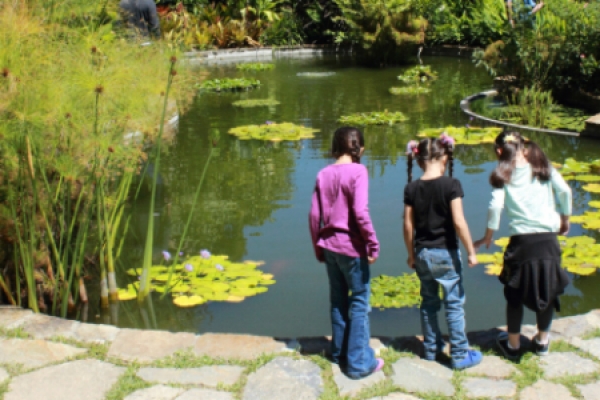 Topotepuy (Venezuela) y los misterios del Bosque Nublado (de la Virgen)