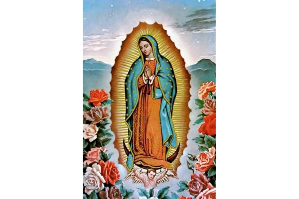 Indulgencia por los 125 años de la coronación de la Virgen de Guadalupe Indulgencia por los 125 años de la coronación de la Virgen de Guadalupe
