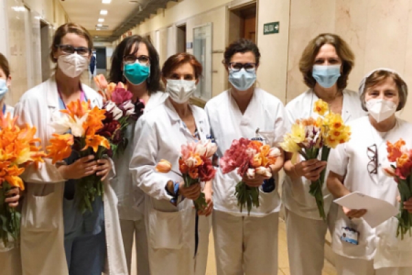 El Real Jardín Botánico de Madrid corta sus tulipanes para los hospitales