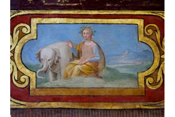 Annone, el elefante albino que vivió 2 años en el Vaticano