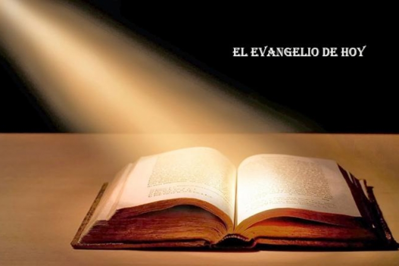 Dios reprende a los que ama. Evangelio del día