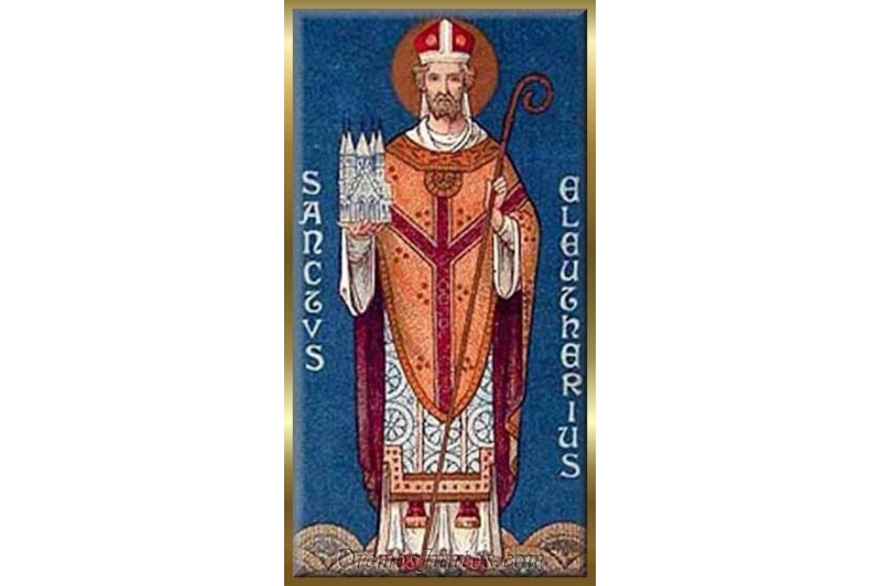San Eleuterio de Tournai - 20 de Febrero