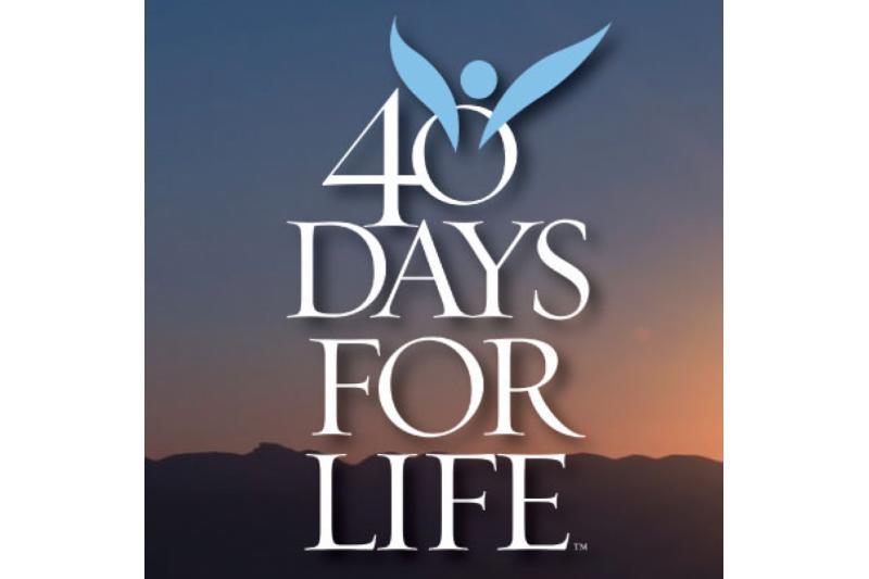 Resultados de la Campaña “40 Días por la Vida”