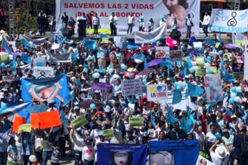 Medio millón de mexicanos salieron a defender la vida y la familia Medio millón de mexicanos salieron a defender la vida y la familia. México provida. No al aborto