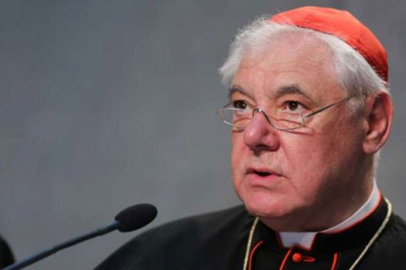 El Cardenal Gerhard Müller publica una «Declaración de fe» ante la creciente confusión sobre la doctrina de la Iglesia El Cardenal Gerhard Müller publica una «Declaración de fe» ante la creciente confusión sobre la doctrina de la Iglesia