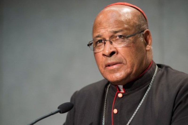 Cardenal Napier Denuncian las presiones para imponer el aborto en África