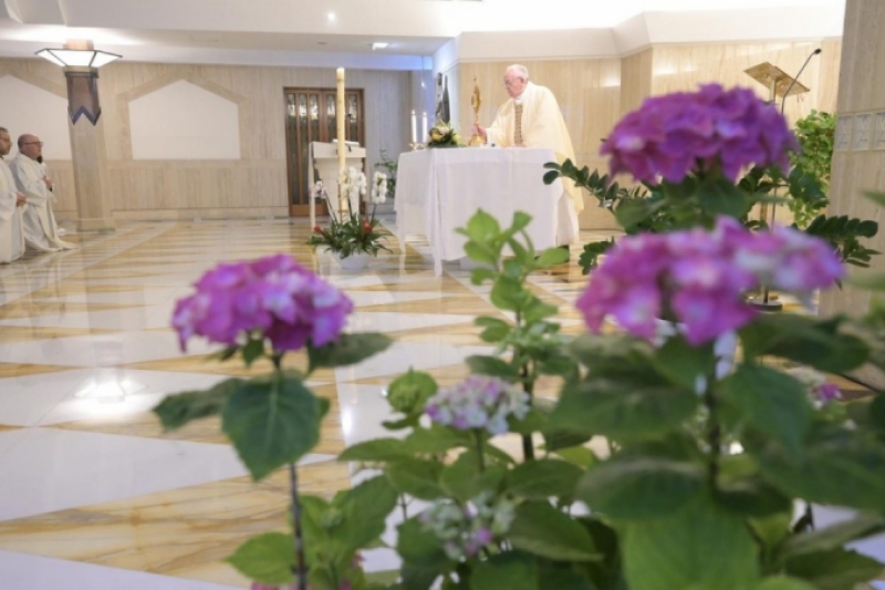 El Papa reza por las enfermeras, ejemplo de heroísmo