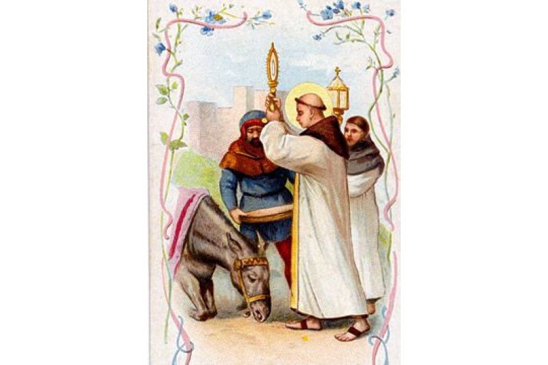 Aprendiendo ingles con San Antonio de Padua