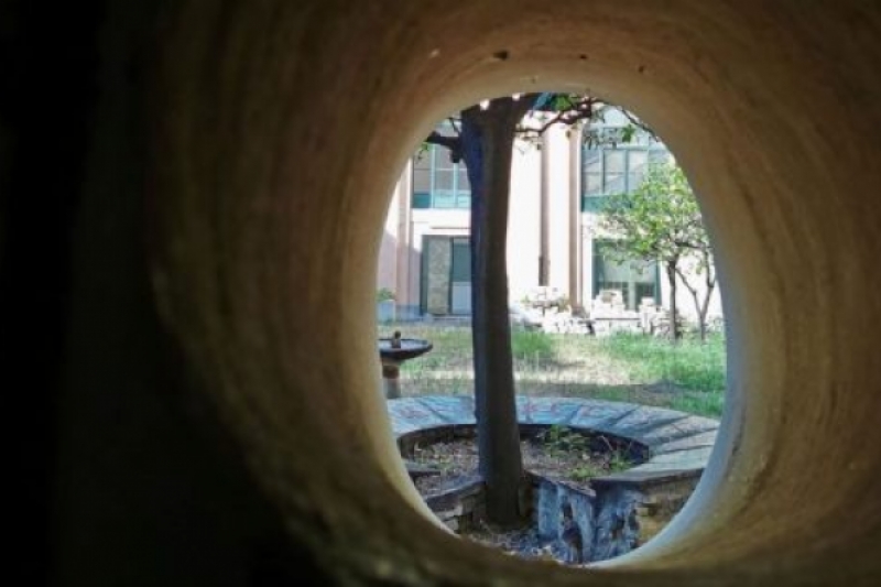 El naranjo milagroso de Santo Domingo en Roma El naranjo milagroso de Santo Domingo en Roma