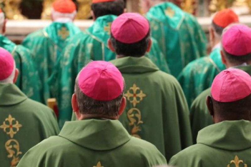 El Papa con sus 106 embajadores reflexionan sobre la ideología de genéro y el islam