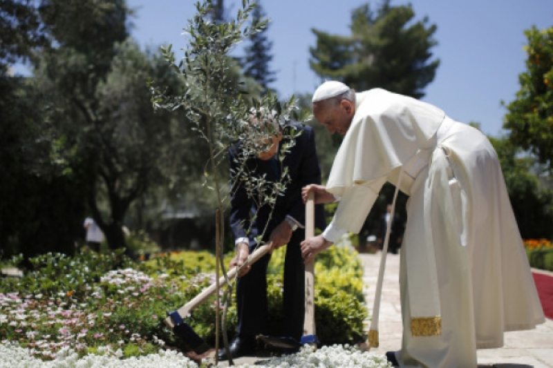 El Vaticano libre del plástico en 2019, tras encíclica del Papa