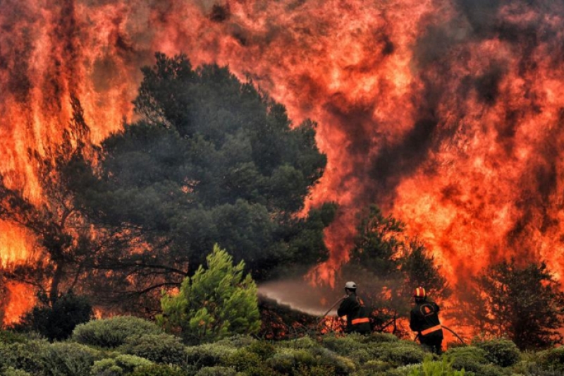 Telegrama del Papa Francisco tras los terribles incendios de Grecia