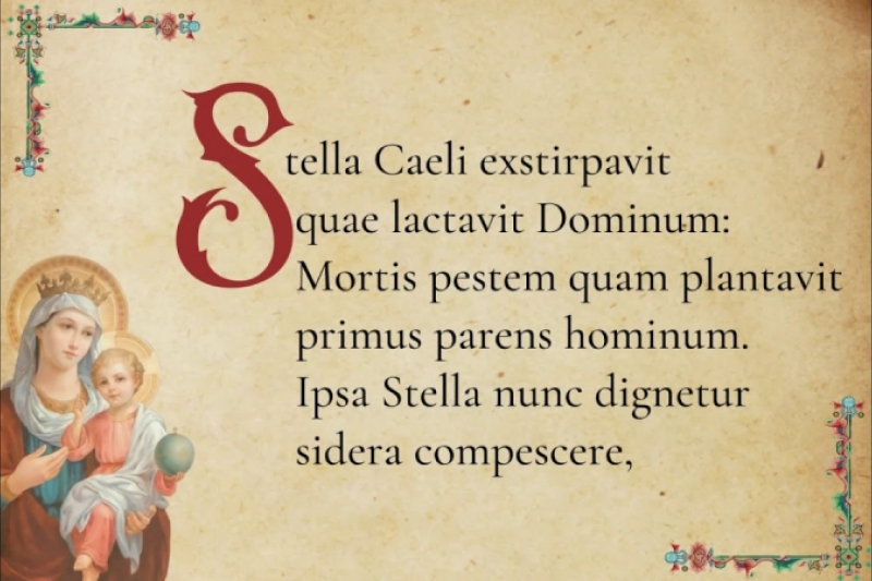 Stella Caeli, oración a la Virgen en tiempos de epidemia Stella Caeli, oración a la Virgen en tiempos de epidemia