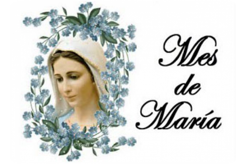 Por qué Mayo es el Mes de la Virgen María? | El pan de los pobres