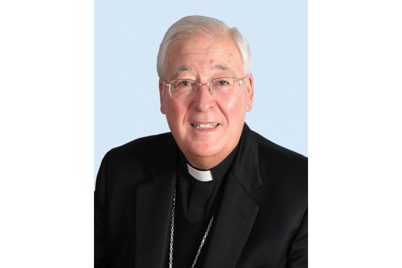 Mons. Reig Pla, obispo de Alcalá de Henare Mons. Reig Pla, obispo de Alcalá de Henares: «Los bárbaros han vuelto»