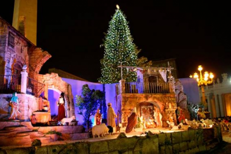Pesebre y árbol de navidad vaticano