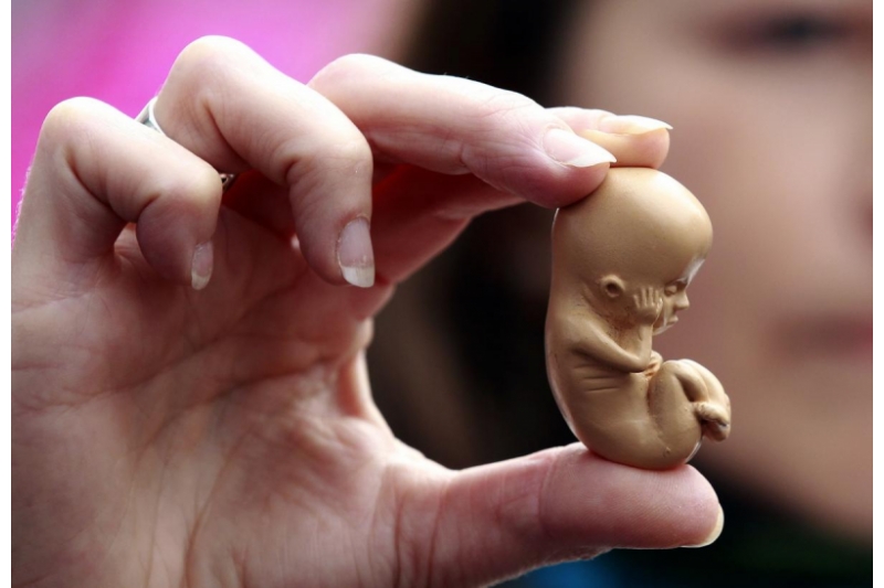 video_macedonia_aborto.jpg