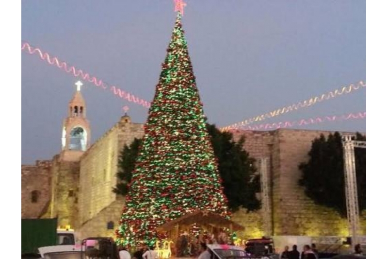 Inicio de la preparación para la Navidad en Belén