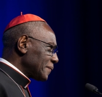 Fragmento del libro ‘Le soir approche et déjà le jour baisse’ (Se acerca la tarde y el día casi ha terminado) del Cardenal Robert Sarah