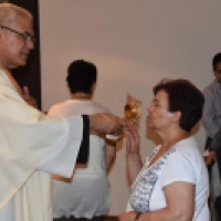 Peregrinación a Padua. Vuestras Gracias pasaron ante San Antonio